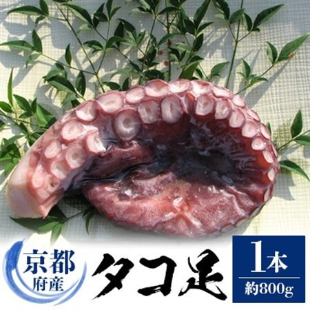 京都府産　タコ足　1本(冷凍:鮮度抜群真空パック)【共通返礼品】_魚介・海産物 タコ  たこ 蛸_【配送不可地域：離島】【1045456】