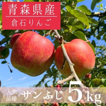 【青森県産】サンふじ 約5kg【配送不可地域：離島・沖縄県】【1260413】
