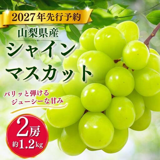 [2027年 先行予約] 産地直送 朝採れ! 山梨県産 シャインマスカット 2房 (1.2kg以上!) | 山梨 ぶどう ブドウ 葡萄 シャイン 都留市人気返礼品! シャインマスカット