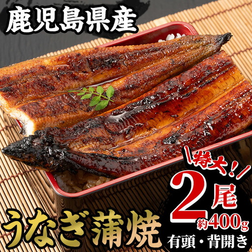 うなぎ 蒲焼 鹿児島県産 特大 2尾 うなぎ【00-025-16-90】