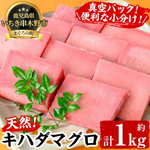 まぐろ!キハダマグロ 約1kg(100g×7-10柵)天然[00-041-01]