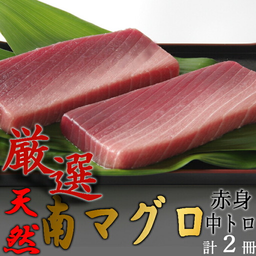 【中トロ】【赤身】天然南マグロ　中トロ１柵　赤身１柵【解凍書付】まぐろ 鮪 海鮮 冷凍 さしみ 刺身 父の日 高知 室戸 マグロ
