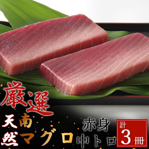 【中トロ】【赤身】天然南マグロ　中トロ２柵　赤身１柵【解凍書付】まぐろ 鮪 海鮮 冷凍 さしみ 刺身 父の日 高知 室戸 マグロ