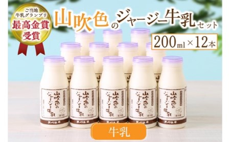 山吹色のジャージー牛乳セット 山吹色のジャージー牛乳 200ml 12本 セット 乳製品 飲料 健康 腸活 免疫力アップ 乳酸菌 ご当地グランプリ 最高金賞 ご当地 ギフト 贈答用 山いぶき 熊本 阿蘇 南小国町 送料無料