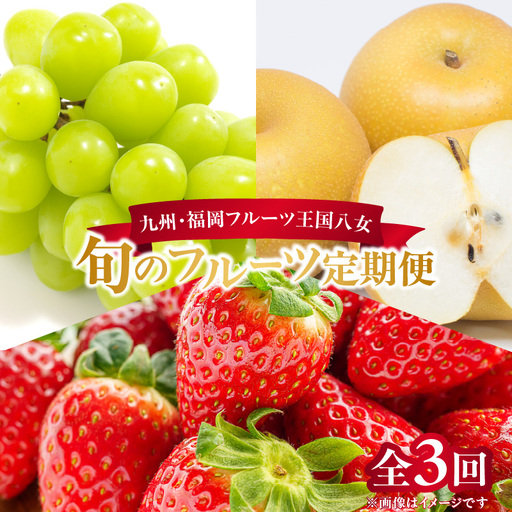 九州・福岡フルーツ王国八女 旬のフルーツ定期便【全3回】＜配送不可：北海道・沖縄・離島＞ フルーツ 定期便 あまおう シャインマスカット 梨 季節のフルーツ 果物 おすすめ セット 産地直送 福岡県 八女市 072-T008