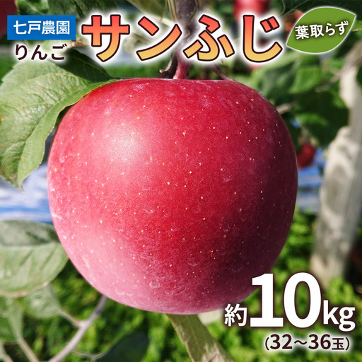 りんご サンふじ 葉取らず 約10kg(32から36玉) 青森産 つがる市【2026年11月下旬より順次発送】[0832]
