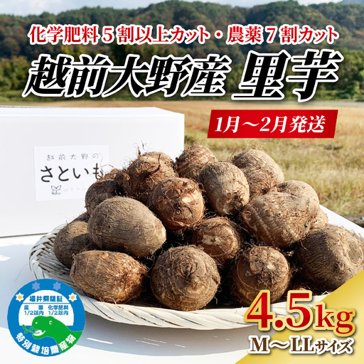越前大野産 里芋【1月から順次発送】4.5kg 土付里芋 特別栽培  [A-008002]