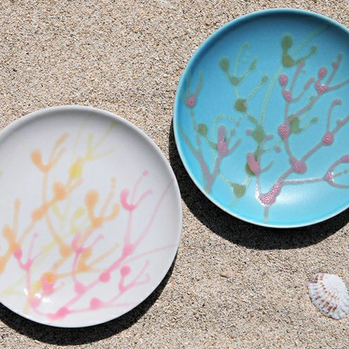 【datta.沖縄南の島陶芸工房】珊瑚プレート 取り皿（2枚セット）青色×純白 ☆ やちむん 読谷村 陶器 大岩浩章 色違い有 お皿 セット商品 彩り うちなーすぐりむん 地場産品 手作り ギフトに 夏 伝統工芸品