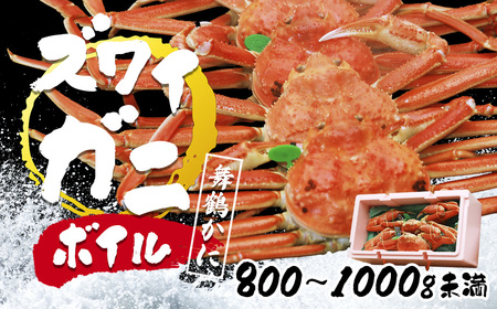舞鶴かに ボイル 800g～1kg未満 緑タグ 松葉かに