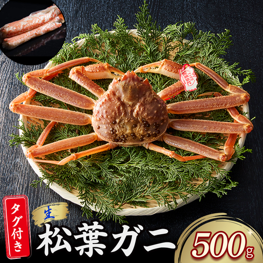 【先行予約】【魚倉】タグ付き 生松葉ガニ （500g） 松葉ガニ