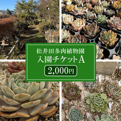松井田多肉植物園チケットA(2,000円)