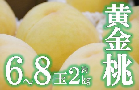 JAフルーツ山梨 甲州市産黄金桃 6〜8玉[80][2026年発送]B-103 桃 フルーツ