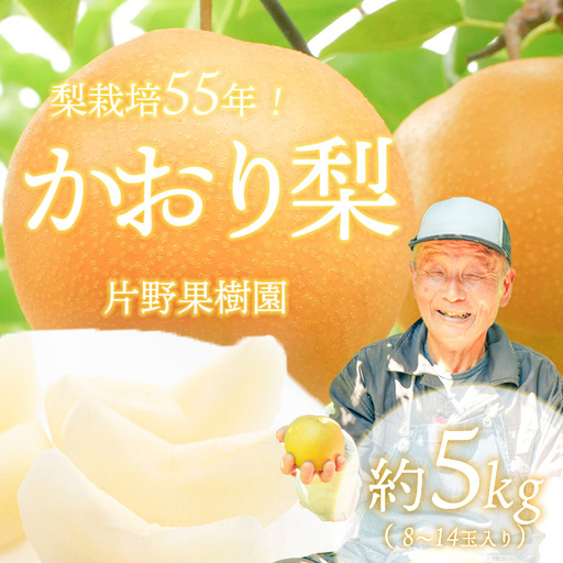 【数量・期間限定】かおり梨 約5kg 9月上旬発送  梨