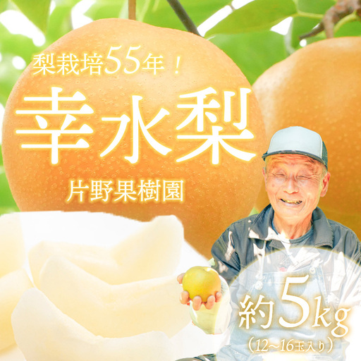 幸水梨 約5kg 08月上旬発送  梨 先行受付