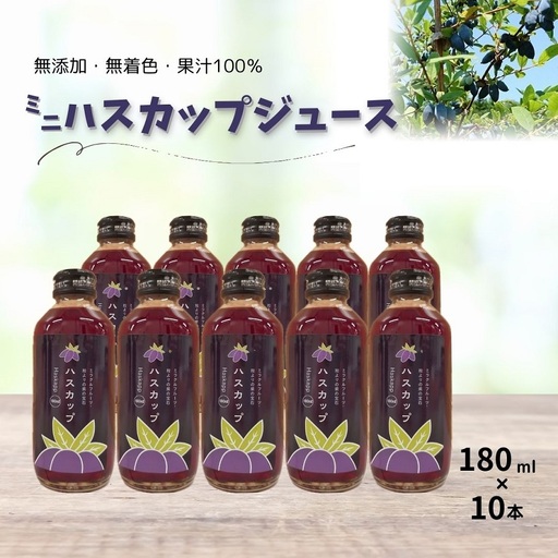 [北海道]不老長寿の果実ハスカップのミニジュース10本 ジュース 無添加ジュース 果汁100%ジュース 国産ジュース