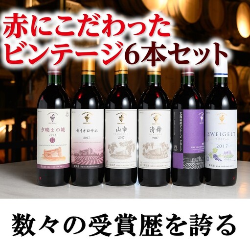 [高評価5.0]十勝ワイン 赤にこだわったビンテージ6本 北海道ワイン 国産ワイン ヴィンテージ ビンテージ 厳選 人気 受賞