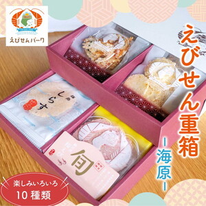 えびせん重箱 海原 えびせんパーク 煎餅 せんべい 海老せんべい たこせん たこせんべい いかせんべい 海老 いか たこ 姿焼き 詰め合わせ お菓子 おつまみ おやつ 美浜町 愛知県 特産品 おみやげ お歳暮 お中元