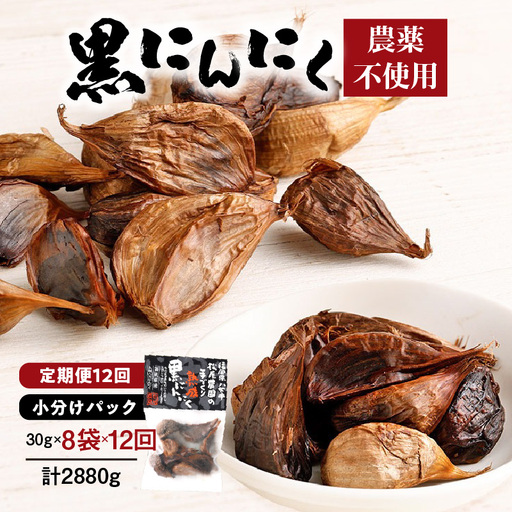 【１２ヶ月定期便】＜農薬不使用＞八女八片黒にんにく（30ｇ×8袋）メロンの３.５倍の甘さで臭わない！　012-T003