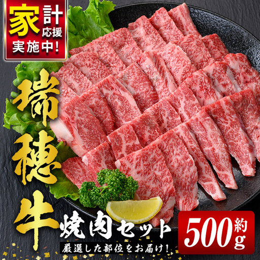 焼肉 セット 約500g 国産 牛肉 [焼肉] [ho0858]