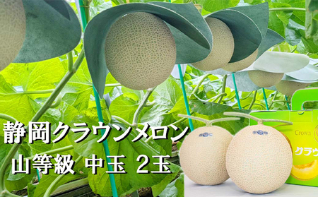 クラウンメロン[上(山等級)]中玉(1.3kg前後)2玉入り人気 厳選 ギフト 贈り物 デザート グルメ 果物 袋井市 果物類 メロン青肉 フルーツ