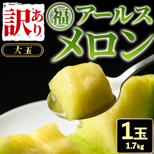 訳あり アールスメロン 1玉 (1.7kg) 家庭用 フルーツ 果物 果実 数量限定 期間限定 【マル福園芸組合】【0111109a】