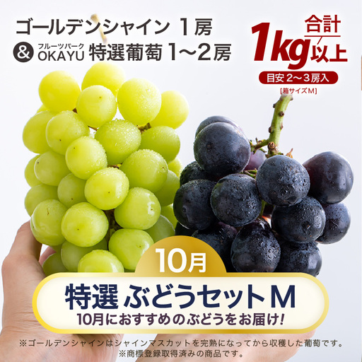 【先行予約】【訳あり】10月特選 ぶどうセットM 1kg以上（2～3房）／ 葡萄 シャインマスカット 完熟 ゴールデン シャイン 品種 おまかせ あわら 農家おすすめ ※2026年10月より順次発送 [aw007-a002]