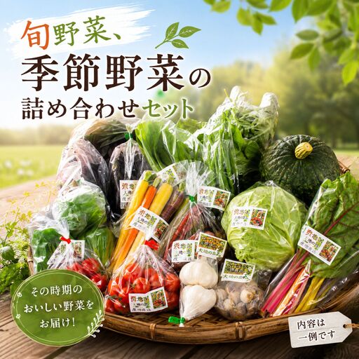 季節野菜の詰め合わせセット 旬野菜 | 野菜 健康 旬の詰め合わせ  大分県産 九州産 中津市 国産 送料無料