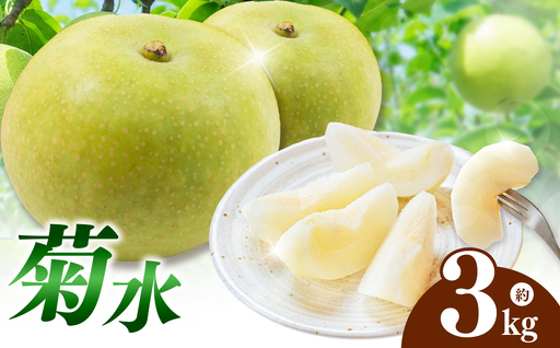 西江豊水園の菊水梨 約3kg ( 8個前後 ) | フルーツ 果物 くだもの 果実 数量限定 旬 完熟梨 梨 なし ナシ 菊水 菊水梨 和梨 3kg 3キロ 新鮮 産地直送 大分県産 九州産 国産 大分県 中津市