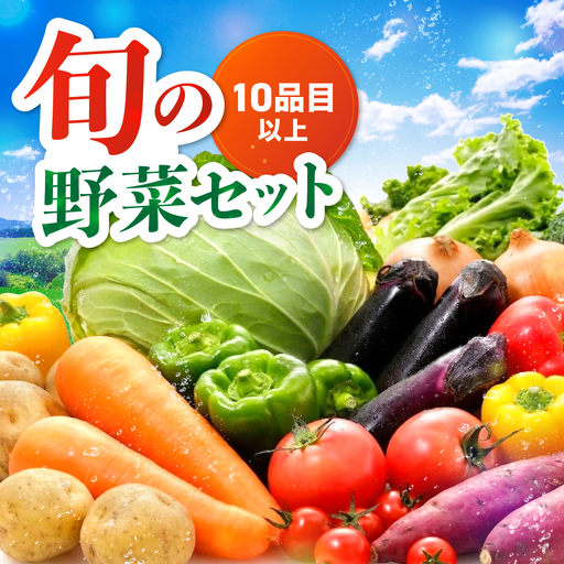 【JA直売所直送】春夏秋冬野菜セット | 野菜 やさい ヤサイ セット 旬 産地直送 大分県産 10～15品 国産野菜 大分県 中津市