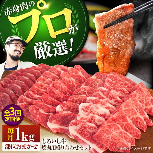 【3回定期便】佐賀県産しろいし牛 焼肉用 盛り合わせ セット（希少部位）各回1kg（5〜6人前） 佐賀セントラル牧場 [IAH047]