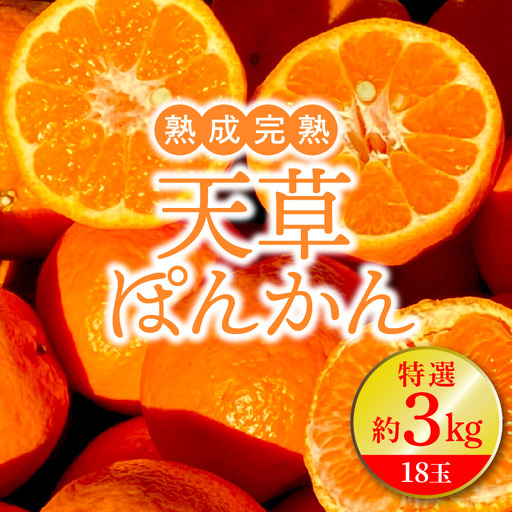 S117-001A_熟成完熟！天草ぽんかん　特選　約3kg（18玉）1月発送〈先行受付〉