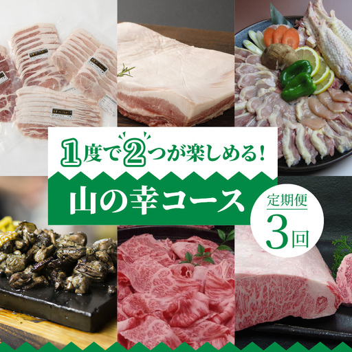 S999-T07_[定期便3回]1度で2つが楽しめる!山の幸コース