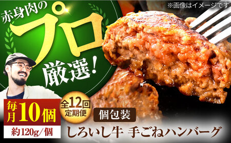 【12回定期便】 手ごねハンバーグ10個 / ハンバーグ [IAH059]