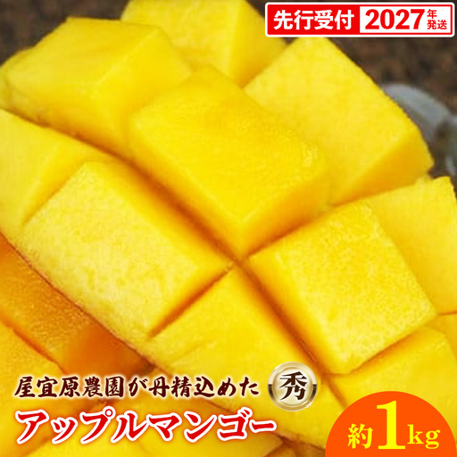 [先行受付][2027年発送]屋宜原農園が丹精込めた「アップルマンゴー」秀 約1kg - 先行予約 沖縄県産 産地直送 南国フルーツ 旬の味覚 旬のフルーツ 贈り物 ギフト 沖縄県 八重瀬町