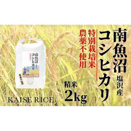【令和7年】南魚沼産塩沢コシヒカリ【従来品種】（農薬不使用）精米２ｋｇ｜コシヒカリ