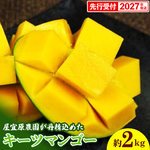 【先行受付】【2027年発送】屋宜原農園が丹精込めた「キーツマンゴー」約2kg - 先行予約 沖縄 産地直送 南国フルーツ 旬の味覚 沖縄県産 国産マンゴー 希少種 オススメ 沖縄県 八重瀬町