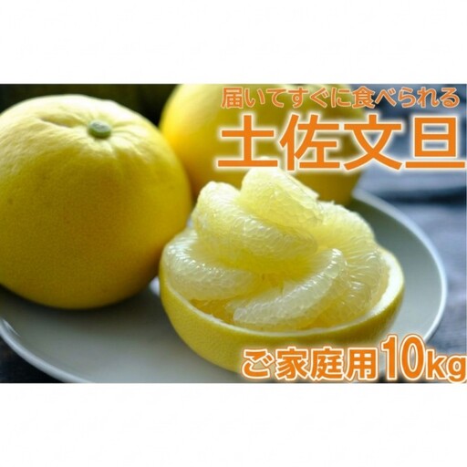 丸昭果樹園 土佐文旦 10kg 家庭用 文旦［1463-3］