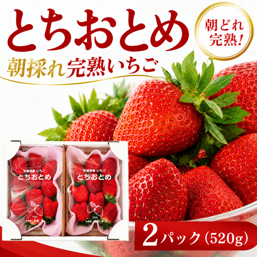 いちご とちおとめ 260g 2パック いちご