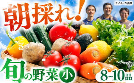 [最速発送][栽培期間中農薬・化学肥料不使用]土佐の太陽をいっぱいに浴びた旬の野菜セット「小」[土佐野菜] [ATBA001] スピード 最短 最速 発送 春 春野菜 旬野菜 野菜詰め合わせ