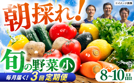 [3回定期便] 土佐の太陽をいっぱいに浴びた旬の野菜セット小 (3回配送) / 野菜 高知[土佐野菜] [ATBA005]