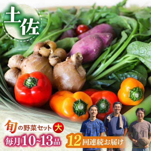 【12回定期便】土佐の太陽をいっぱいに浴びた旬の野菜セット「大」 (12回配送)【土佐野菜】 [ATBA010]