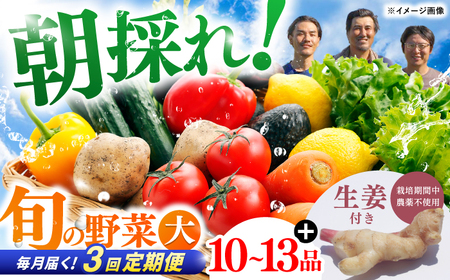 [3回定期便]土佐の太陽をいっぱいに浴びた旬の野菜と生姜約100gのセット「大」 (3回配送)[土佐野菜] [ATBA014]