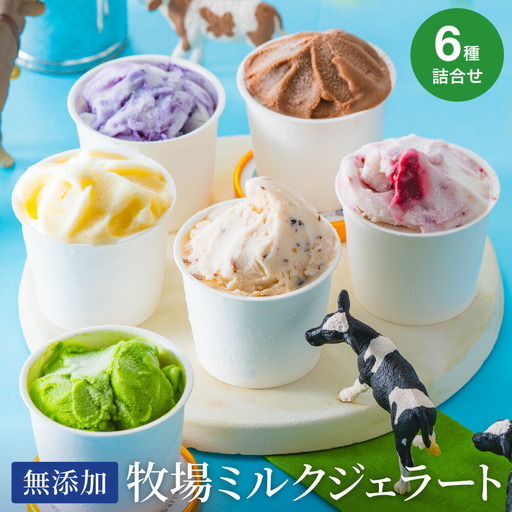 狩野牧場 牛飼いのジェラート 6種セット