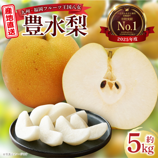 【2026年8～9月発送】 梨(豊水) 約5kg 梨 072-004