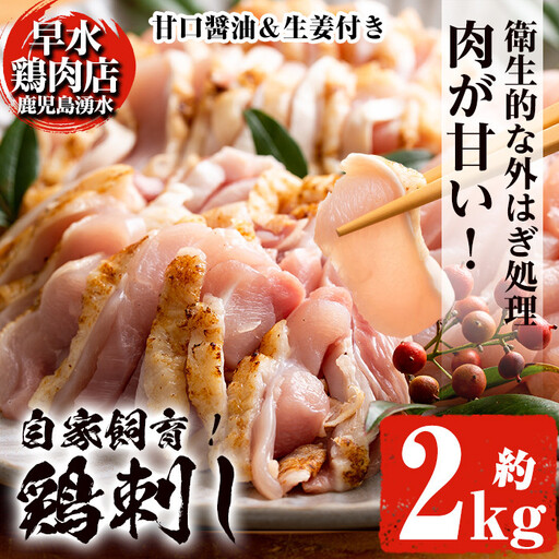 鳥刺し 鶏刺し 鹿児島県産 自家製鶏 鶏刺し 計2kg【早水鶏肉店】_y340