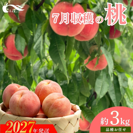 もも　7月収穫の桃　品種お任せ　約3kg【2027年発送】No.1759