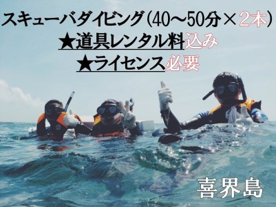 喜界島で スキューバダイビング（40～50分×２本）★道具レンタル料込み★ライセンス必要★ 