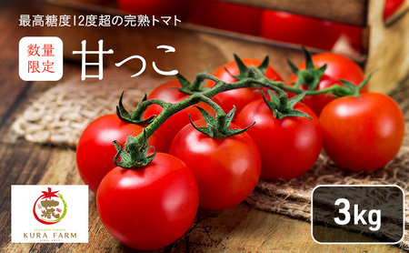 [2026年7月より発送]北海道 富良野市産 完熟ミニトマト(甘っこ)約3kg カラートマト付 トマト 甘い 野菜 新鮮 数量限定 先着順[藏ファーム]