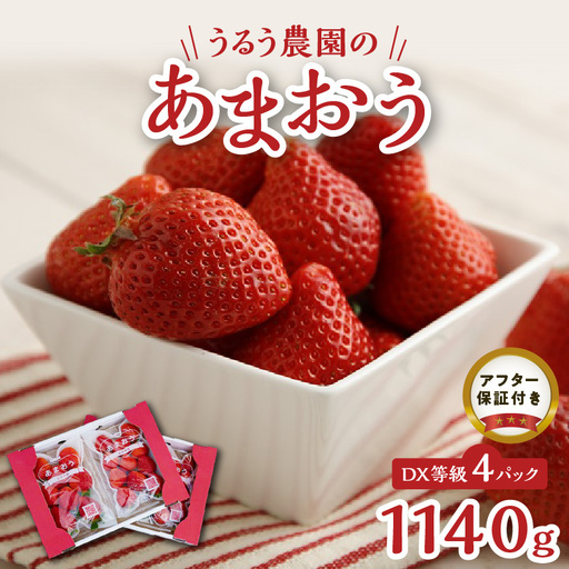 [2026年11月より順次発送]うるう農園のあまおうDX等級 4パック(1140g)_ いちご フルーツ 果物 〔Fi008〕