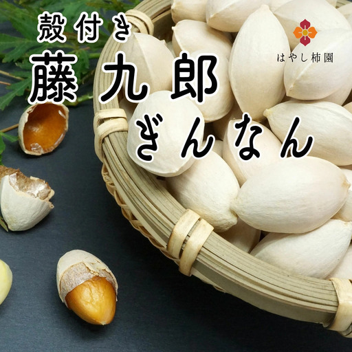 藤九郎 ぎんなん(大粒)1kg | ぎんなん 銀杏 大粒 もちもち おつまみ 酒の肴 秋 野菜 イチョウ 疲労回復 美容 炊き込みご飯 茶碗蒸し 人気 はやし柿園 産地直送 送料無料 岐阜 瑞穂市 ※2026年11月〜発送